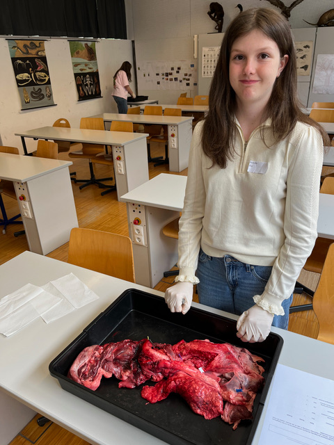 Großer Erfolg für Ella Prehofer bei der Biologie-Challenge!